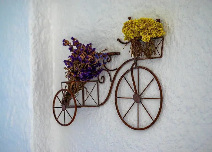 Отель Cemal Butik